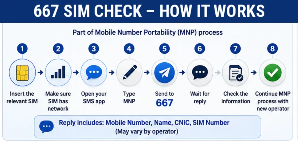 How to Use the 667 SIM Check